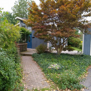 Deck Renovation