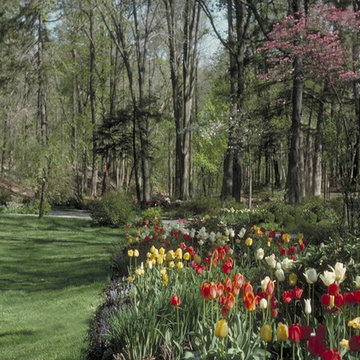 NY LG Woodland Border Gardens