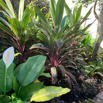 Classy tropical inspired cottage entrance