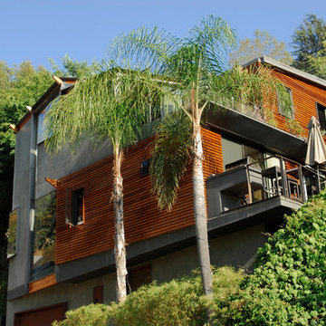 Silver Lake : Remodel + Additions