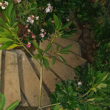 Neelangarai Home
