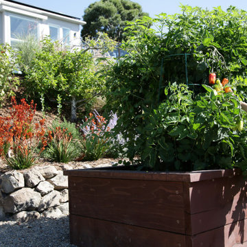 Kitchen Garden Renovation