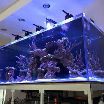 Custom Tank Lights
