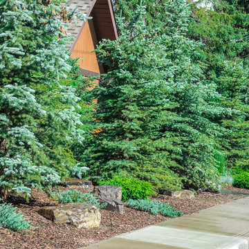 Side Yard With Bark Nuggets, Shrubs & Trees