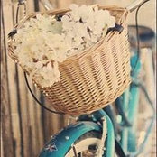 Ele Abell's photo