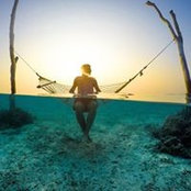 David Elm's photo