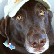 Beth Schwartz's photo