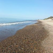 Tammy Lykkegaard's photo