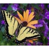 Jennifer Hackney's photo