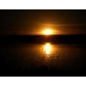 Jamie Rogers's photo
