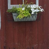 Foto von Ruth Crates