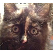 Lisa Doucet's photo