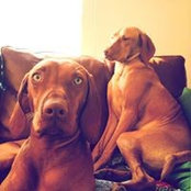 Elma Rudi Smith's photo