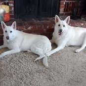 Donna Devereux's photo