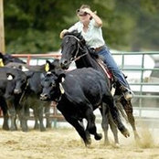 Lynn Peavy's photo