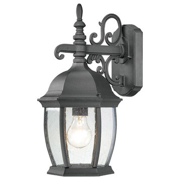 Thomas Lighting Covington 1-Light Outdoor Wall Lantern SL92287 - Black
