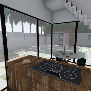 Venice Beach Remodel