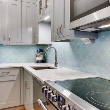 Historic D.C. Condo Kitchen