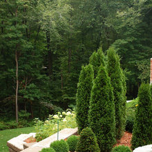 Front landscape