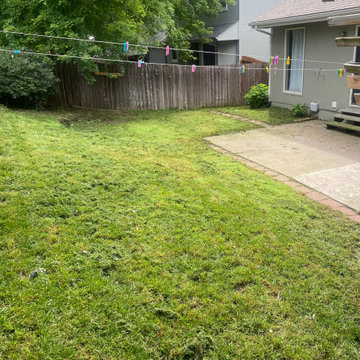 Landscaping