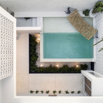 Webb & Brown-Neaves - The Palm Springs