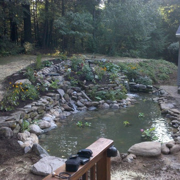 Back Yard Pond - Avon