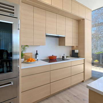 Modern Kitchen w Overlay Cabinetry