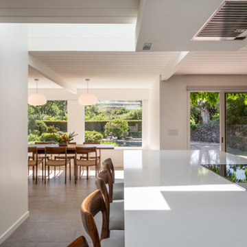 eichler kitchen + interior remodel
