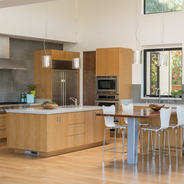 Los Altos Contemporary