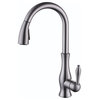 Lyon Brushed Nickel Pullout Kitchen Sink Faucet