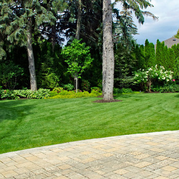 Planting and Maintenance