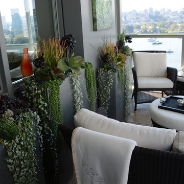 Modern Succulent Garden 2014