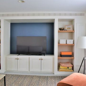 Basement Remodel