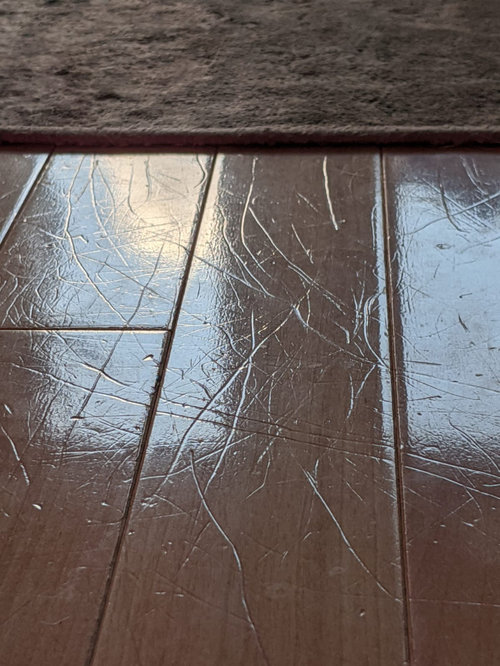 Engineered Birch Wood Floors, Dog Nail Scratches On Hardwood Floors