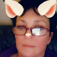 Auds50