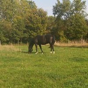 Cathy Zick Minix's photo