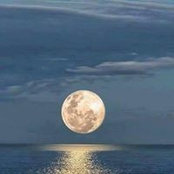 Alex Girard's photo
