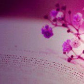Lukacs Maria's photo