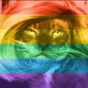 Cat Stroms foto
