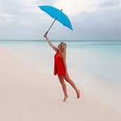 Lisa Wiederer's photo