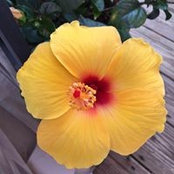 Eva Tejada's photo