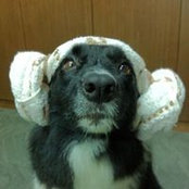 Chia-jui Liu's photo