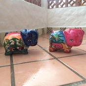 Annette Menke's photo