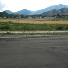 Lot Pictures