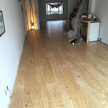 TORONTO MODERN PLYWOOD RENOVATION