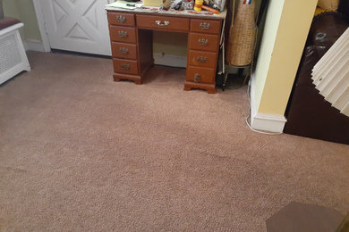 Carpet Stain Removal In Philadelphia, PA