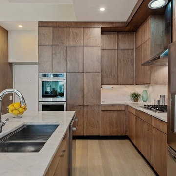LEED Platinum Chicago Rowhome
