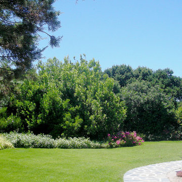 Giardino al mare (Il Giardino di Guttuso)