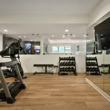 Leawood Lower Level Remodel