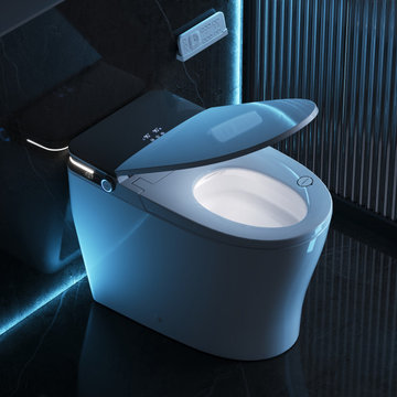Smart Toliets